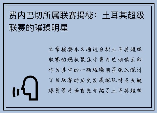 费内巴切所属联赛揭秘:土耳其超级联赛的璀璨明星